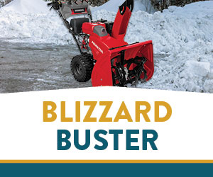 Blizzard Buster